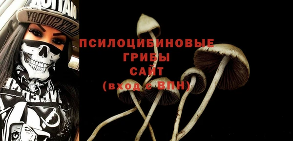 ешки Алексин