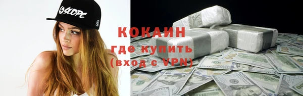 молекула духа Алзамай