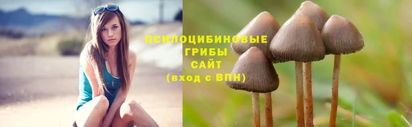 молекула духа Алзамай