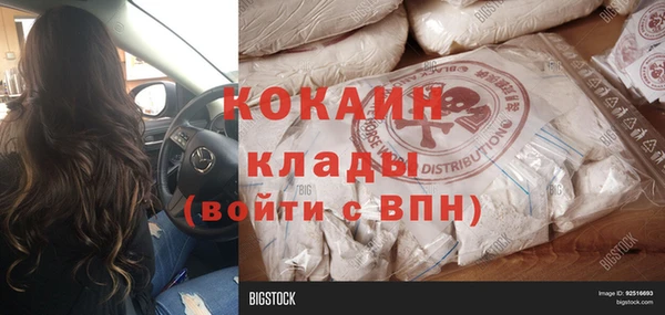 ешки Алексин