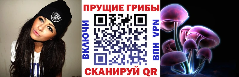 блэк спрут tor  как найти закладки  Пустошка  Псилоцибиновые грибы мухоморы 